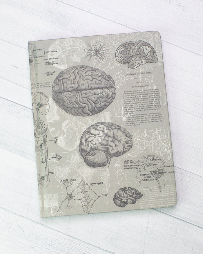 Brain Anatomy Hardcover - Dot Grid Cognitive Surplus