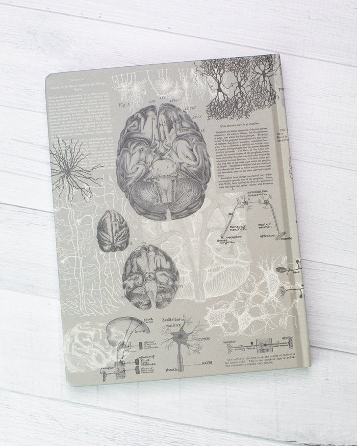 Brain Anatomy Hardcover - Dot Grid Cognitive Surplus