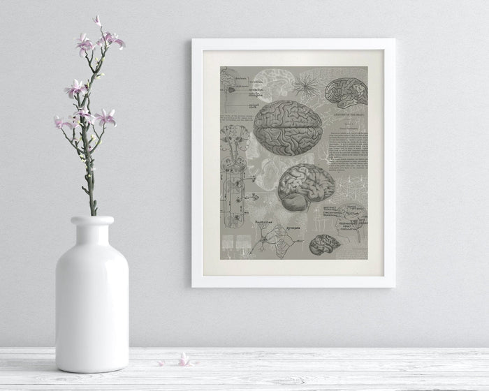 Brain Anatomy Museum Print Cognitive Surplus