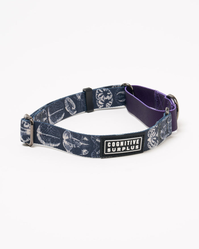 Brain Eco Martingale Collar