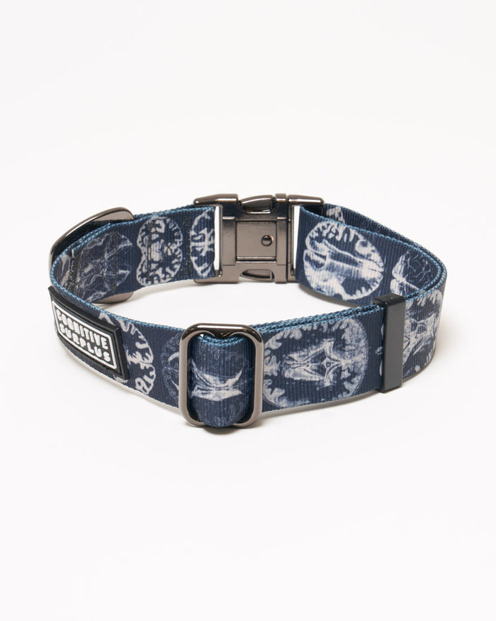 Brain Eco Pet Collar