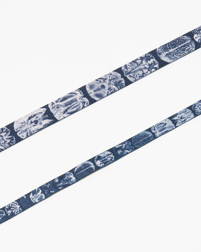 Brain Eco Pet Leash