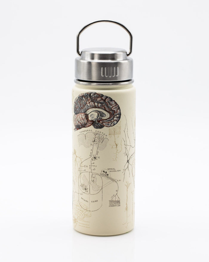 Brain & Neuroscience 18 oz Steel Bottle Cognitive Surplus
