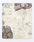 Brain & Neuroscience Lab Notebook Cognitive Surplus