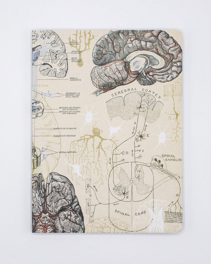 Brain & Neuroscience Softcover - Lined Cognitive Surplus