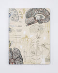 Brain & Neuroscience Softcover - Lined Cognitive Surplus