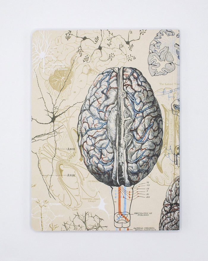 Brain & Neuroscience Softcover - Lined Cognitive Surplus