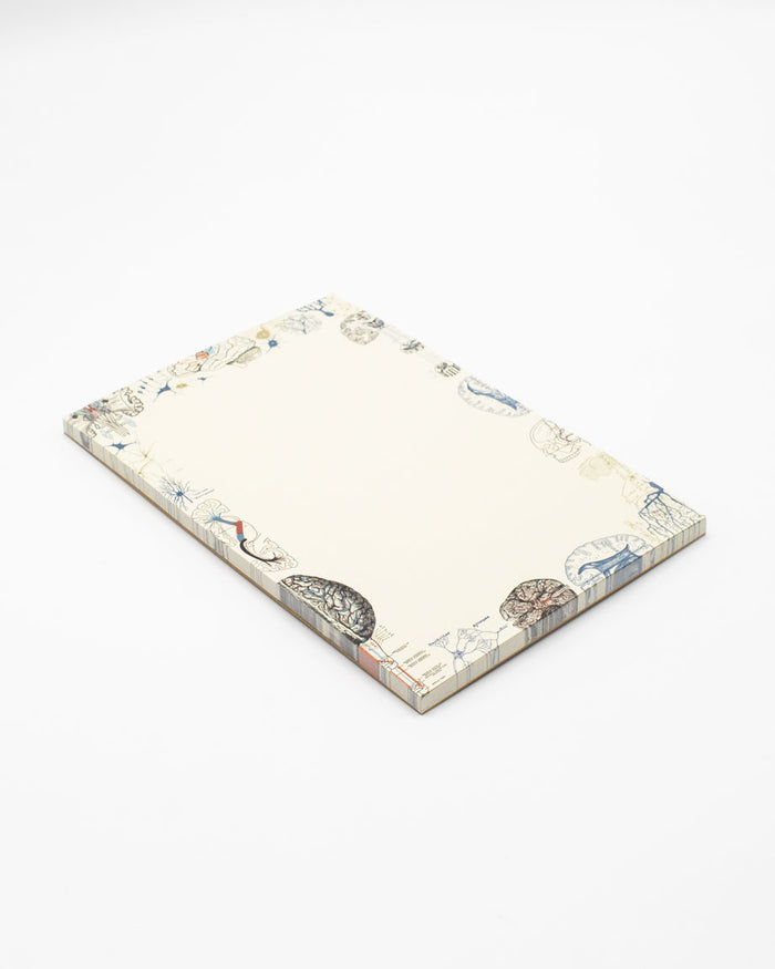 Brain Science Notepads