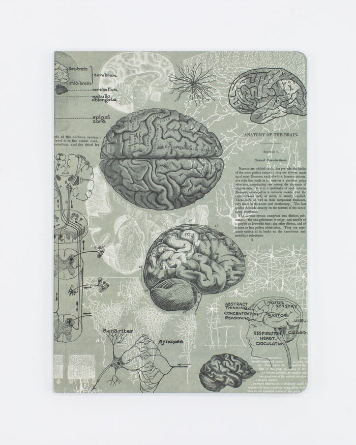 Brain Softcover - Dot Grid Cognitive Surplus