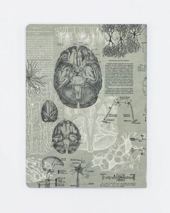 Brain Softcover - Dot Grid Cognitive Surplus