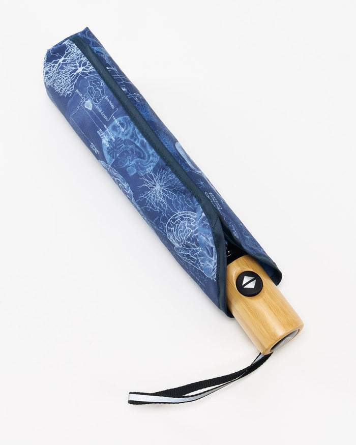 Brain Umbrella