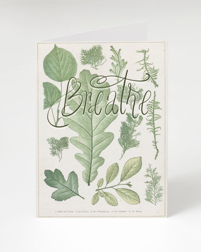 A Cognitive Surplus Breathe Greeting Card with leaves and the word breathe.