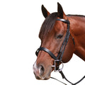Bridle Plain With Reins