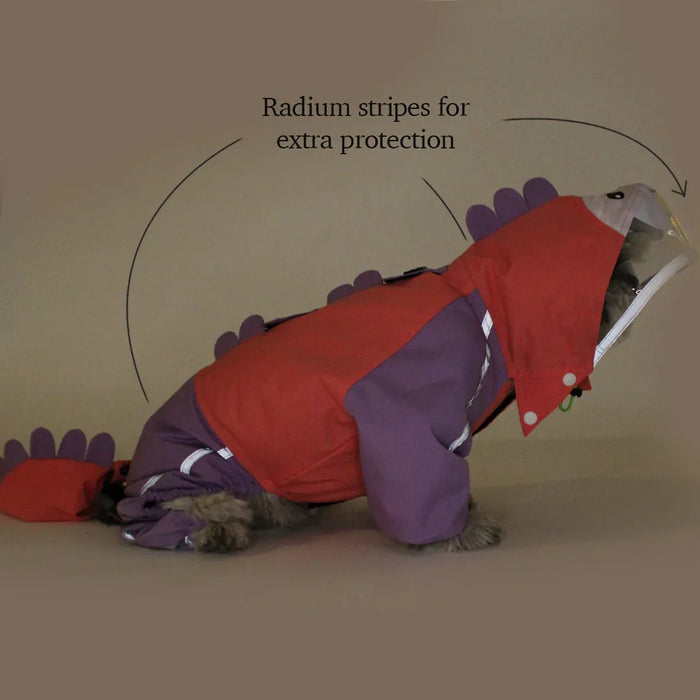 Bubbles Dino Raincoat