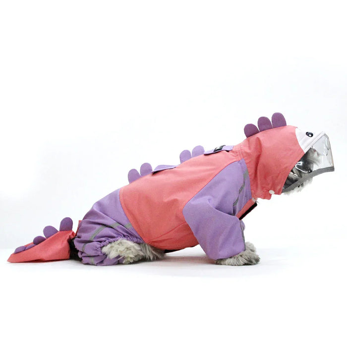 Bubbles Dino Raincoat