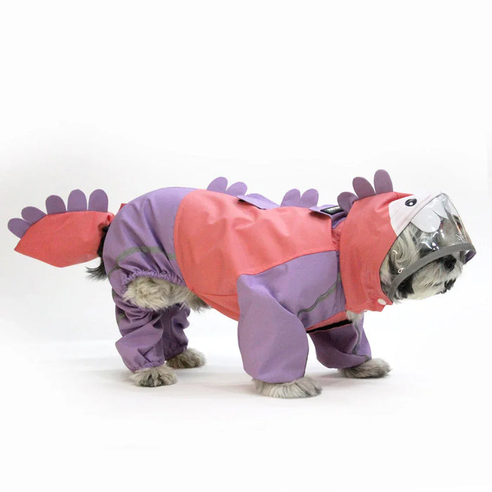 Bubbles Dino Raincoat
