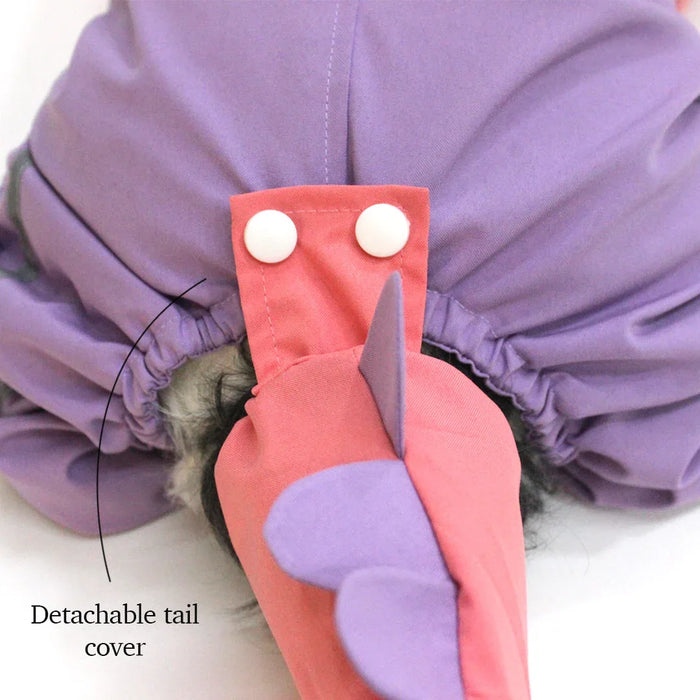 Bubbles Dino Raincoat