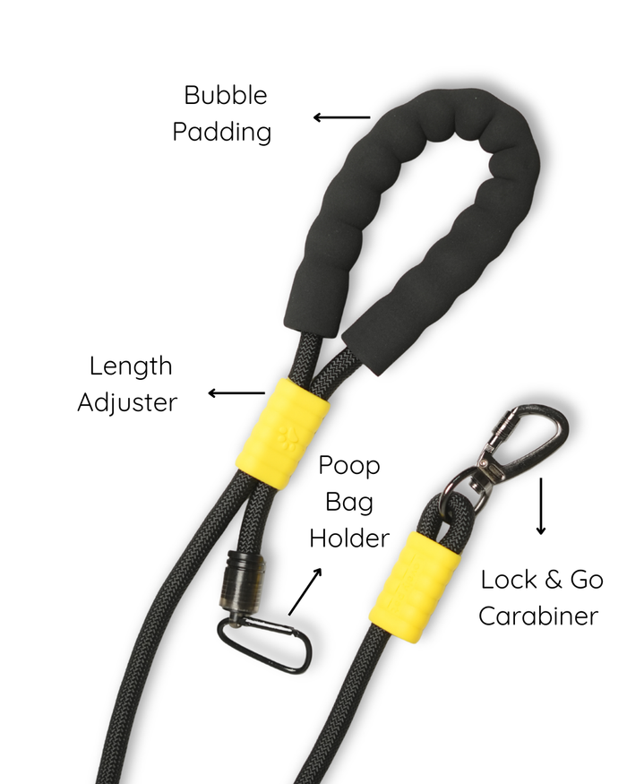 Bumblebee Rope leash