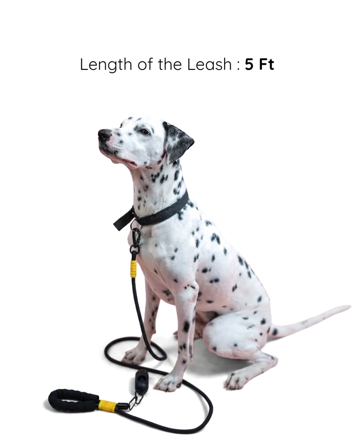 Bumblebee Rope leash