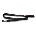 Bungee Dog Leash - Wanneroo Stockfeeders