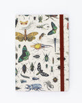 Butterflies & Beetles A5 Softcover Cognitive Surplus