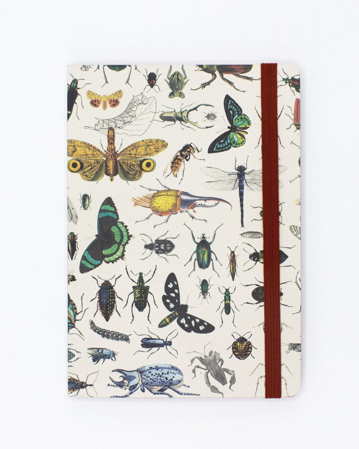 Butterflies & Beetles A5 Softcover Cognitive Surplus