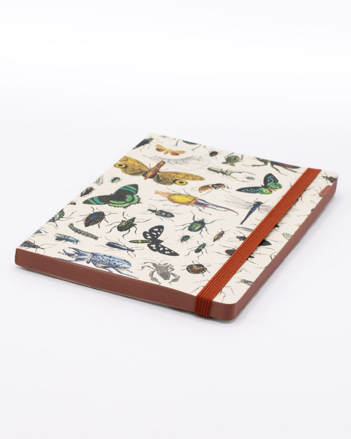 Butterflies & Beetles A5 Softcover Cognitive Surplus