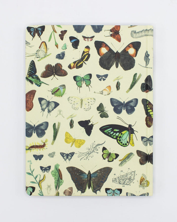 Butterflies Hardcover - Lined/Grid Cognitive Surplus