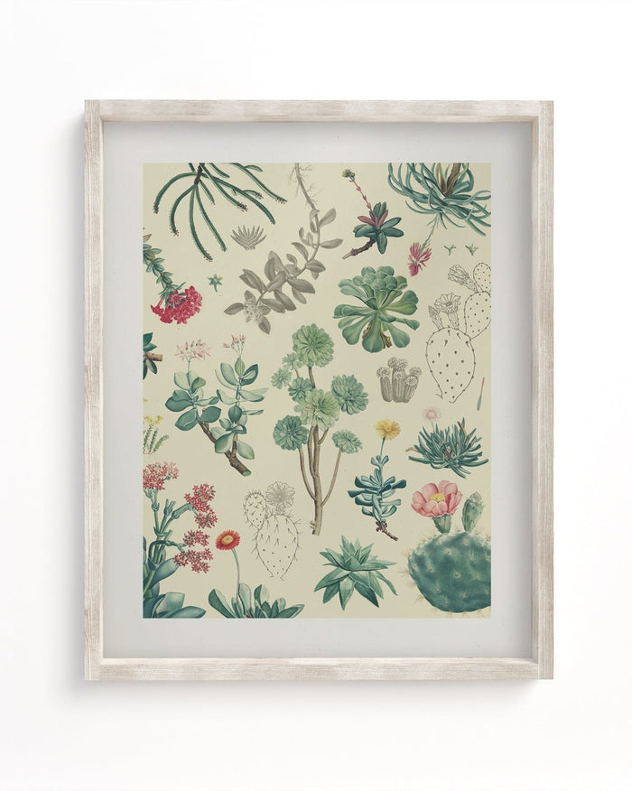 Cactus Museum Print Cognitive Surplus