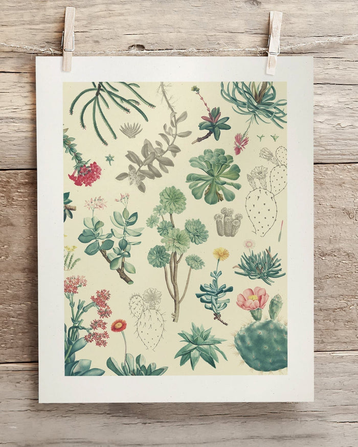 Cactus Museum Print Cognitive Surplus