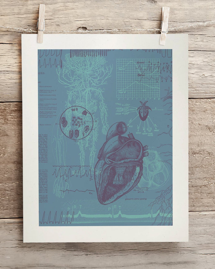Cardiology Museum Print Cognitive Surplus
