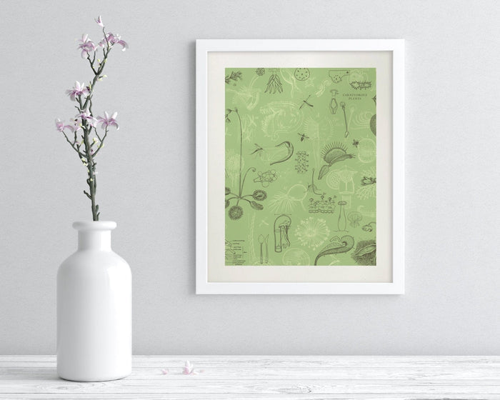 Carnivorous Plants Museum Print Cognitive Surplus