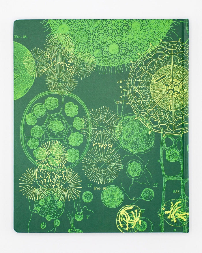 Cell Biology Lab Notebook Cognitive Surplus