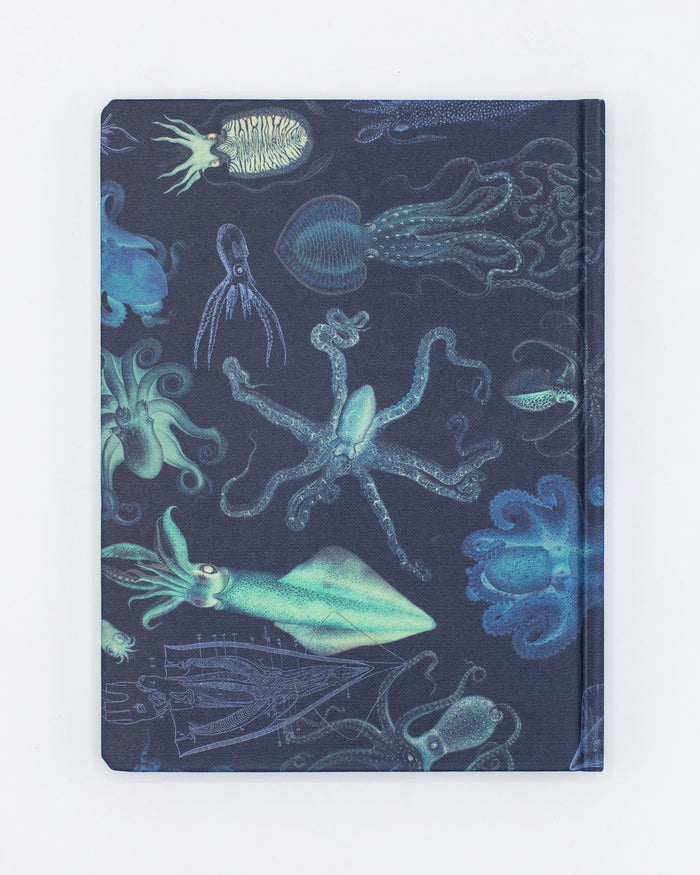 Cephalopods: Octopus & Squid Hardcover - Dot Grid Cognitive Surplus