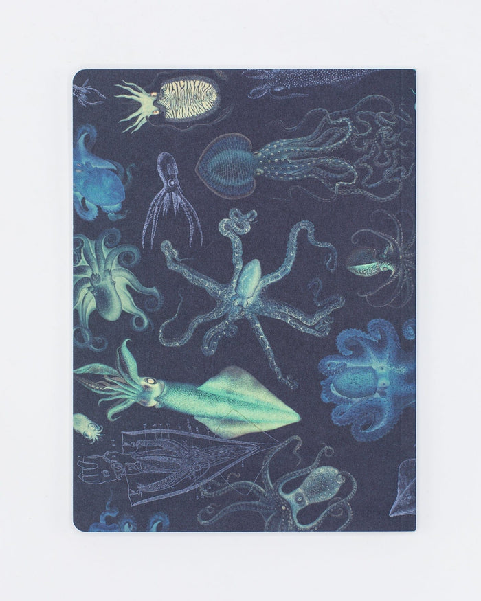 Cephalopods: Octopus & Squid Softcover - Lined Cognitive Surplus