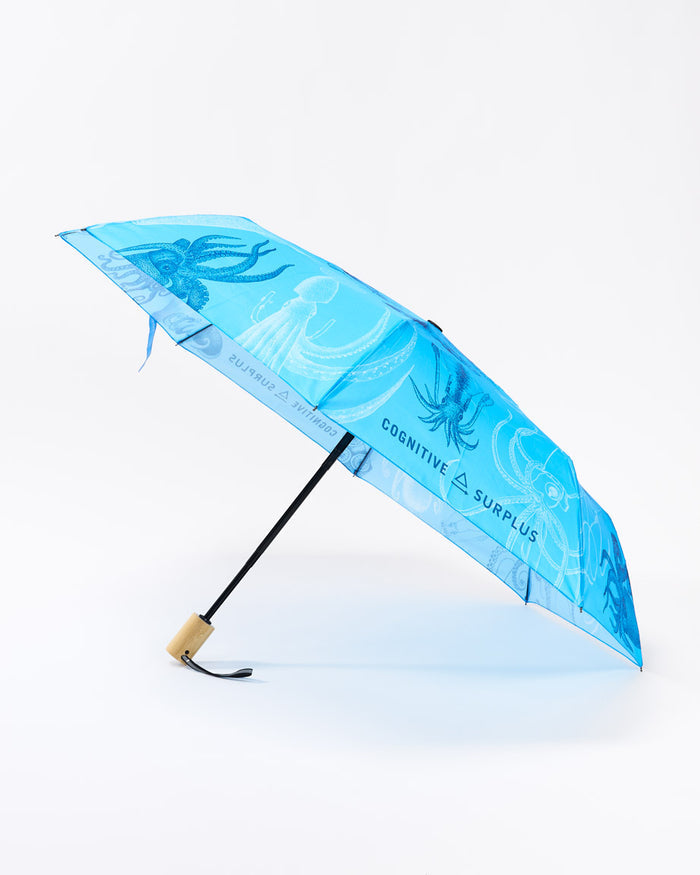 Cephalopods Umbrella