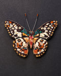 Chequered Swallowtail Butterfly Beaded Brooch Pin - Trovelore