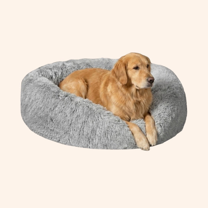 CloudPaws Calming Dog Bed
