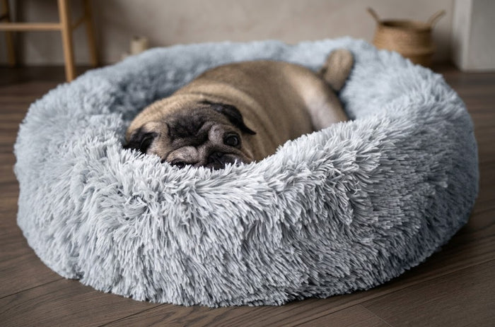 CloudPaws Calming Dog Bed