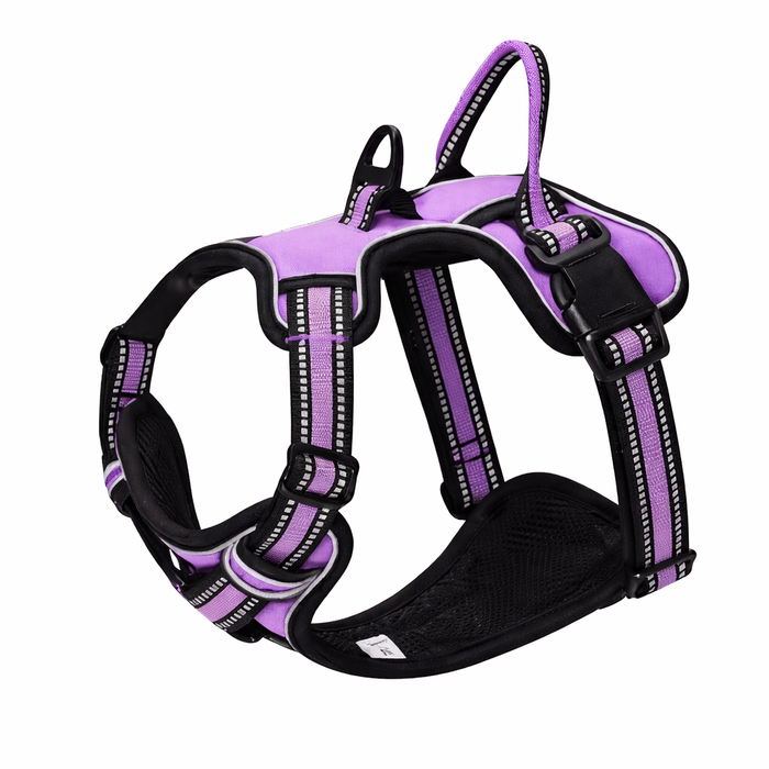 CloudPaws No-Pull Dog Harness