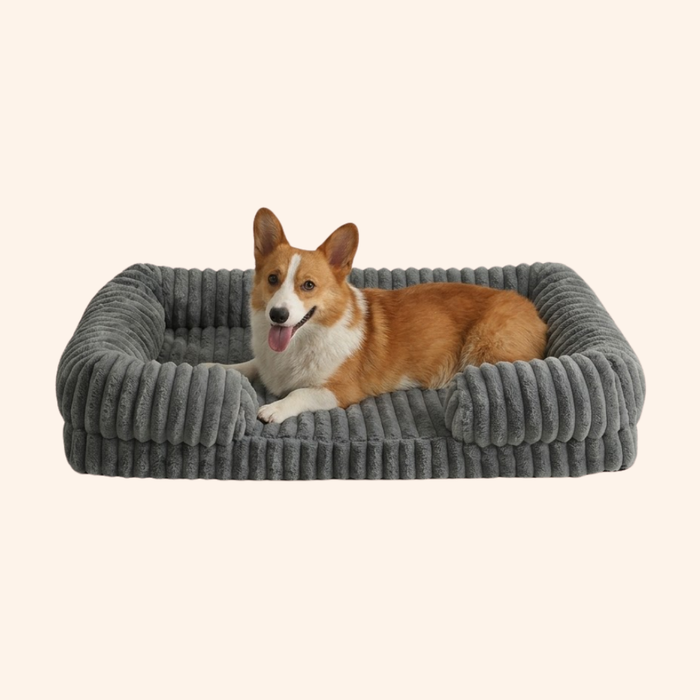 CloudPaws Orthopedic Calming Sofa Dog Bed