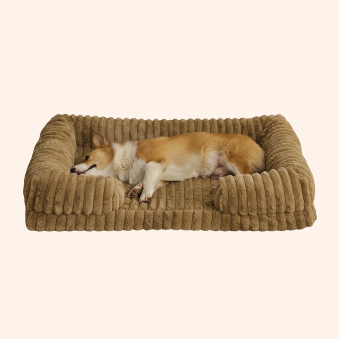 CloudPaws Orthopedic Calming Sofa Dog Bed
