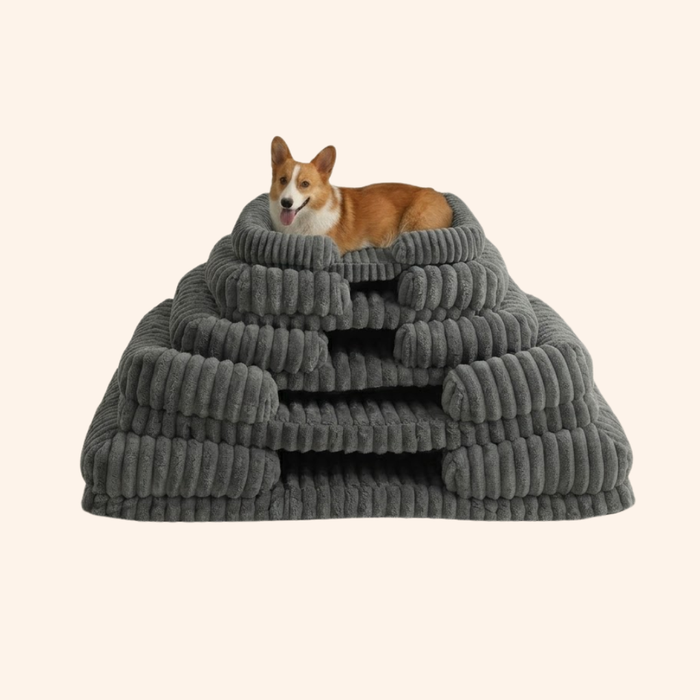 CloudPaws Orthopedic Calming Sofa Dog Bed