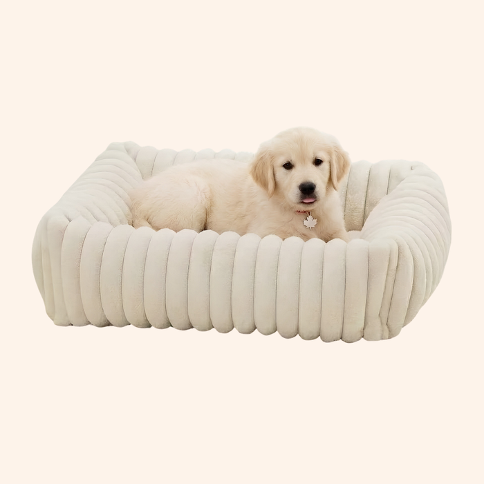 CloudPaws Orthopedic Plush Dog Mattress Bed