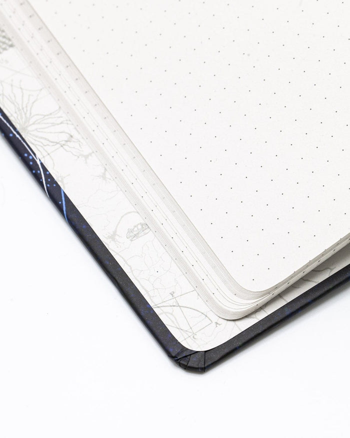 Constellations Hardcover - Dot Grid Cognitive Surplus