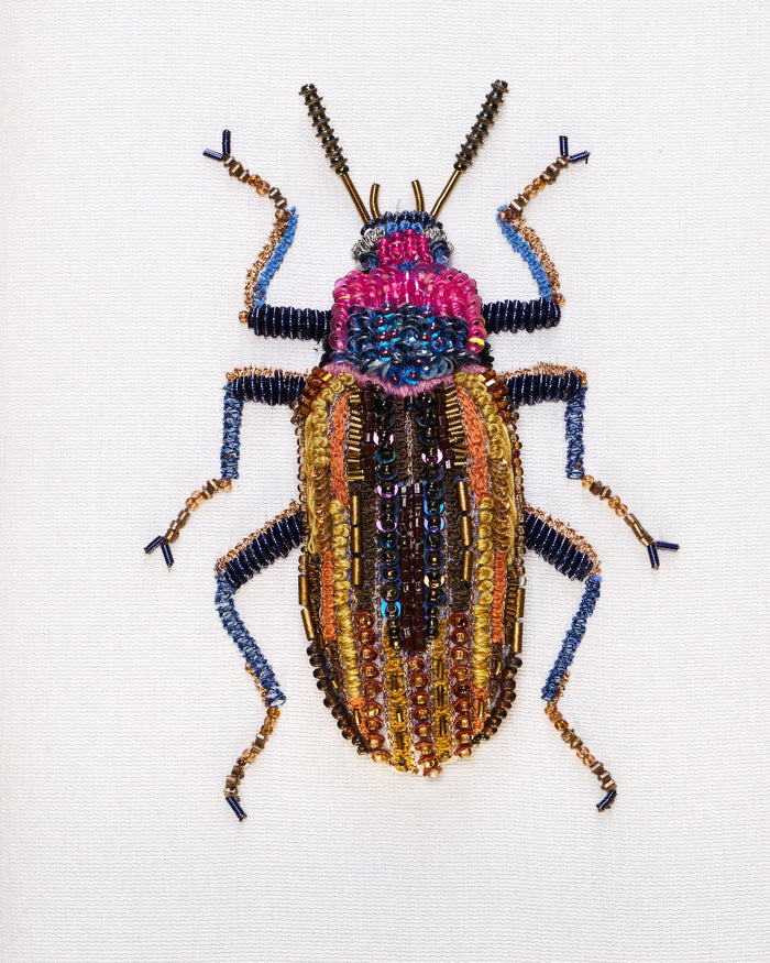 Darkling Beetle Beaded Framed Art - Trovelore