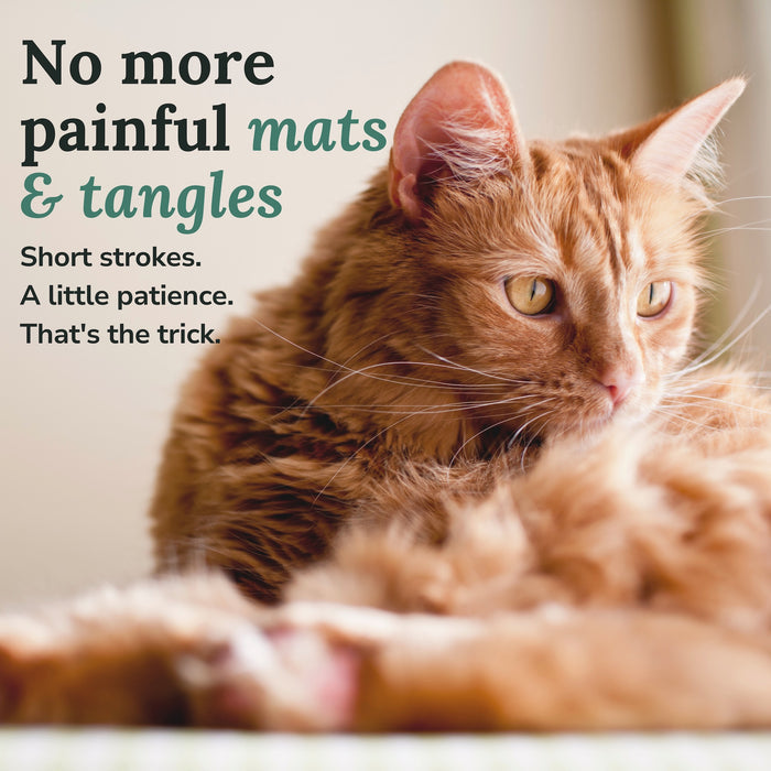 How to get rid of cat matted fur and tangles