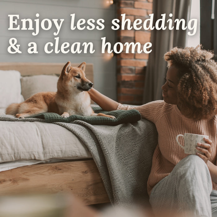 Best brush for deshedding dogs huskies golden retrievers corgis