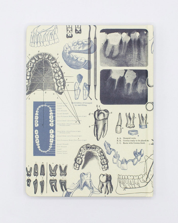 Dentistry Hardcover - Dot Grid Cognitive Surplus