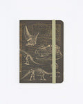 Dinosaur Bones Observation Softcover Cognitive Surplus